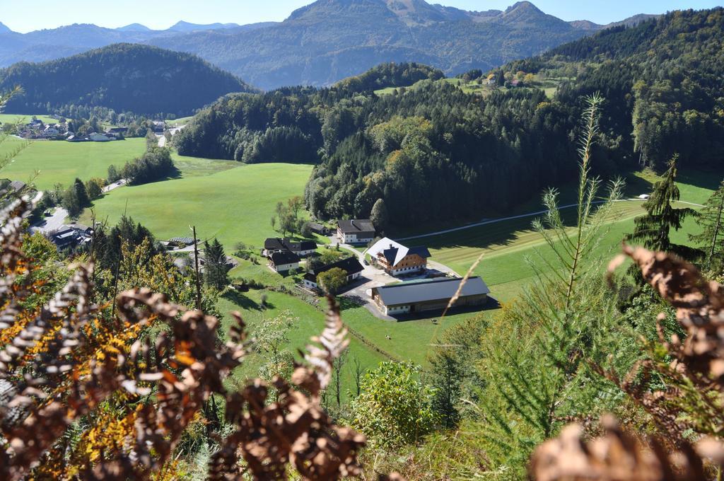 Ferienwohnung Dichtlbauer Sankt Gilgen Bagian luar foto